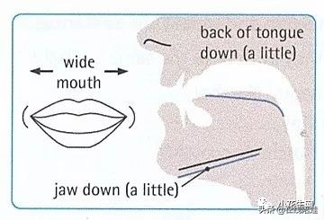 剑桥英语音标发音视频教程,英语发音规则表剑桥英语