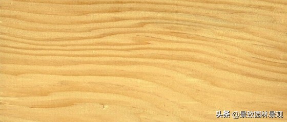 木纹最好看的木材图片,各种木材纹理图片与名称