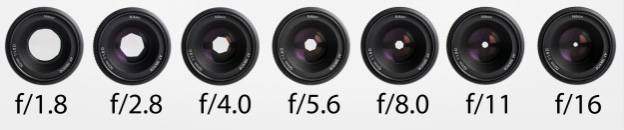 景深入门基本知识,关于摄影你需要知道的