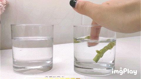 ge通用净水器,ge净水器和安吉尔净水器哪个好