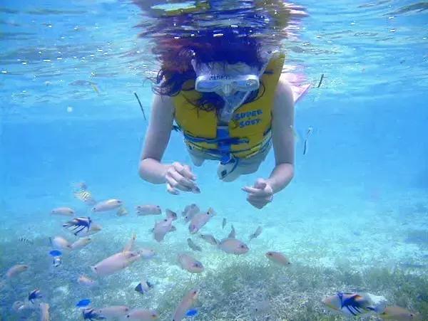 春回大地山清水秀,春回大地感受春的气息