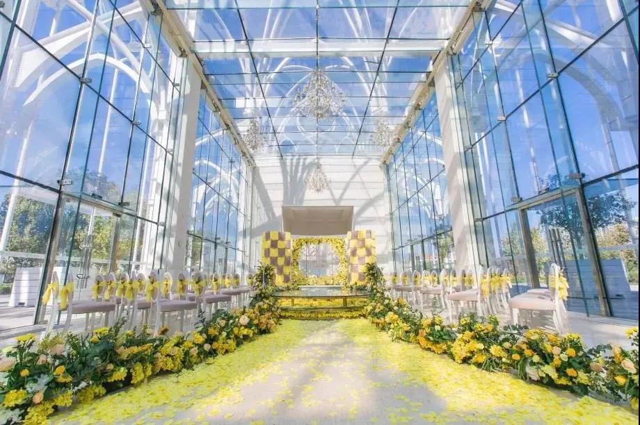 青岛胶南红树林旅游景点,西海岸红树林度假世界