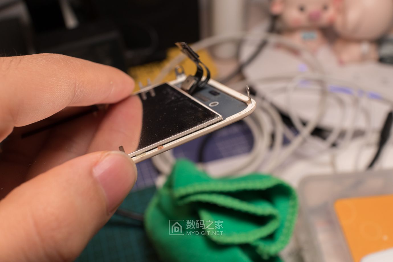 把未拆封的iphone4做成标本,iphone4被做成标本