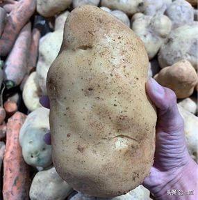 山东什么都大？*疆新**人不服