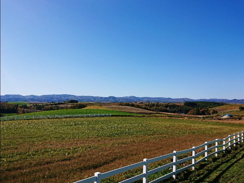 北海道登别到美瑛町需多久,日本北海道美瑛川的雪景