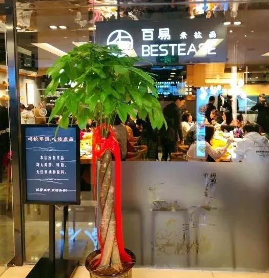 北京12家高端素餐厅,北京老字号素餐厅