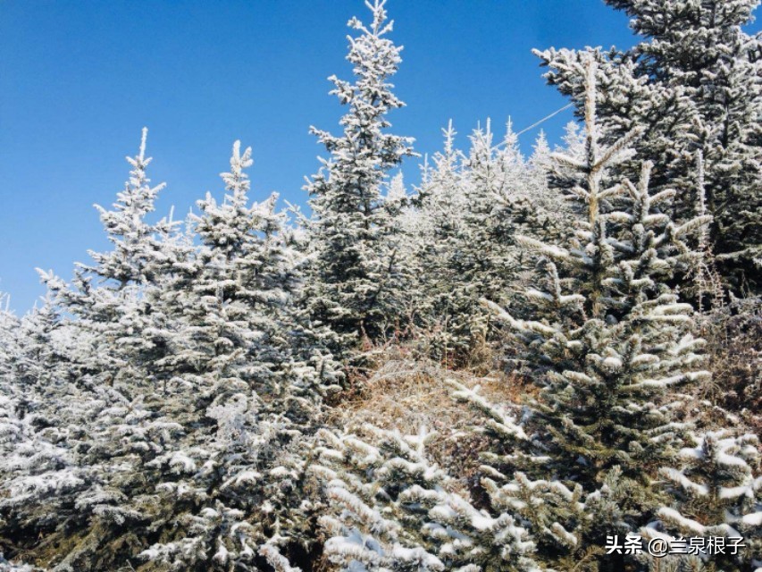 兰州市七里河区金色阳光幼儿园,金色阳光幼儿园大二班老师