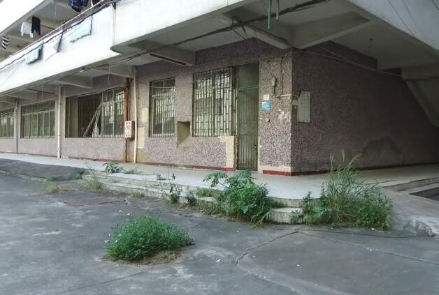 裕元鞋厂回忆录,裕元鞋厂辉煌时期