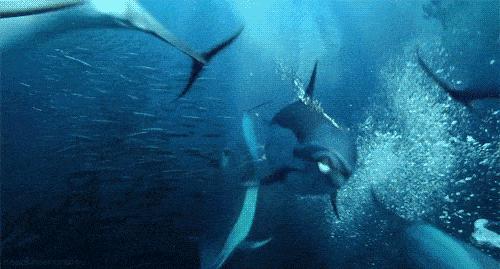 五一适合亲子游的五日游,亏欠孩子的时光用什么补