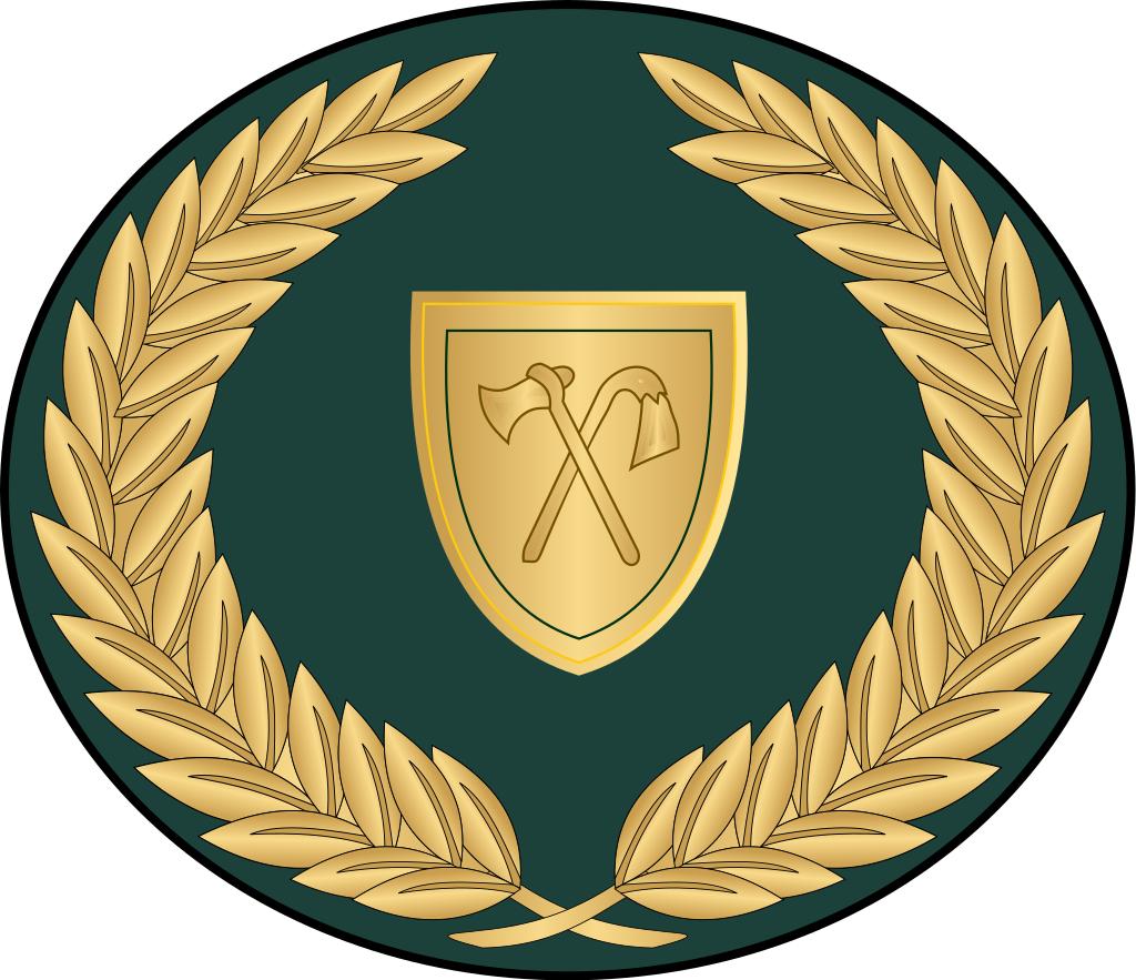 西亚各国军衔,各国军衔标识坦桑尼亚