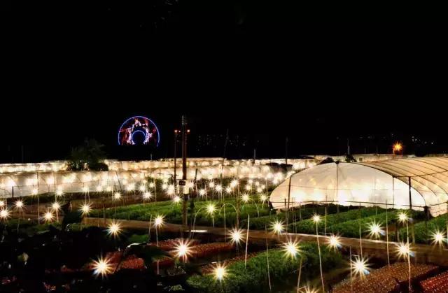 再见了大别山原唱歌曲,再见了大别山完整版原唱