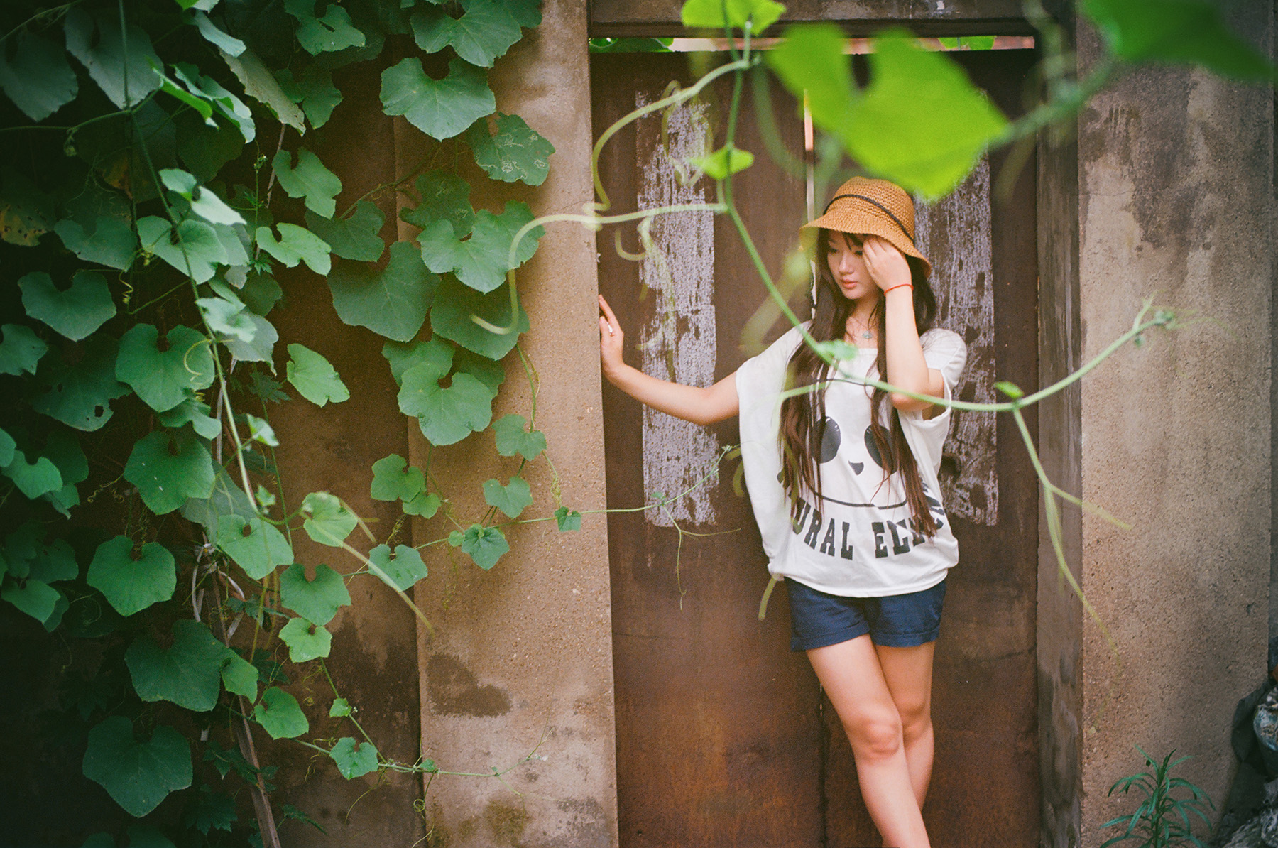 第14篇，尼康相机的标头-2021年元旦快乐