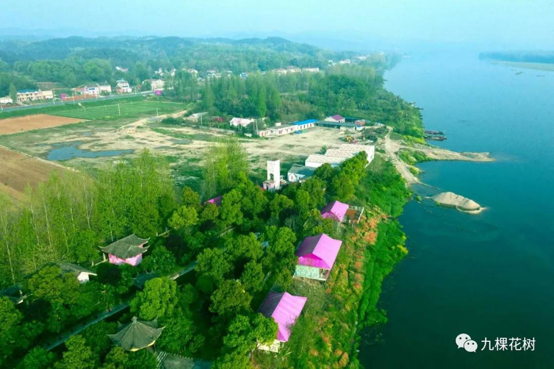 湖北襄阳谷城庙滩喻家湾,谷城县庙滩镇喻家湾村书记