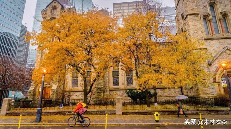 加拿大多伦多生活日记,加拿大多伦多留学生活纪实