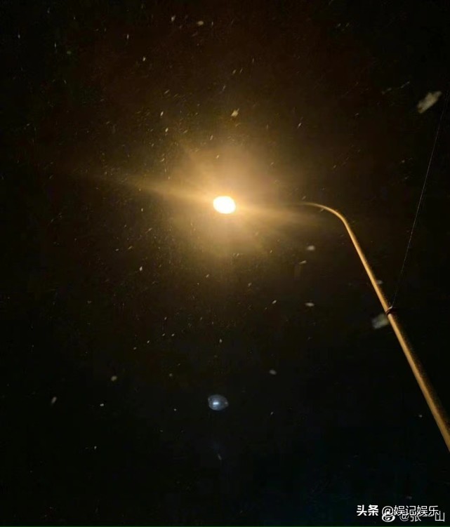 张一山对杨紫说过最温柔的话,张一山对杨紫说的深情话