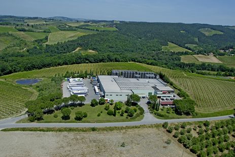 中国葡萄酒崛起已成必然,2022中国葡萄酒市场