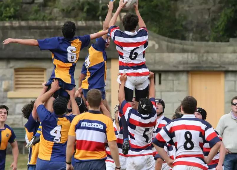 克兰布鲁克学院,布鲁可学院