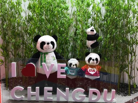 成都马拉松2023开跑视频,2021年成都马拉松线上赛时间