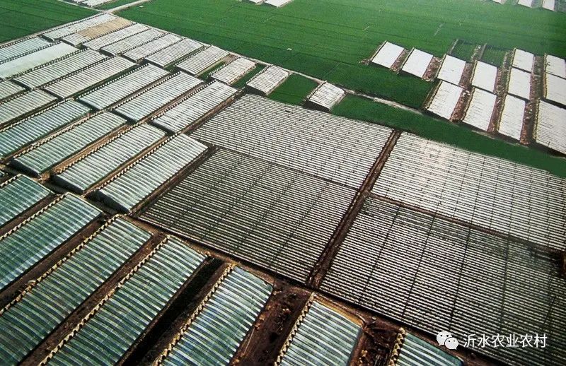 种养产业推动乡村振兴工作,我县壮大特色农业引领乡村振兴