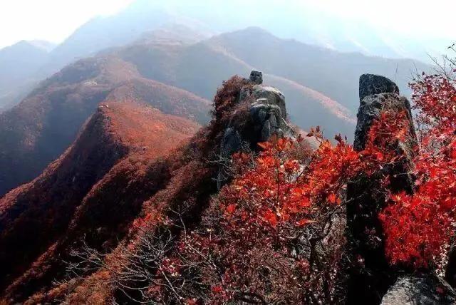 大连哪里的秋色最美呢,大连赏秋景的地方