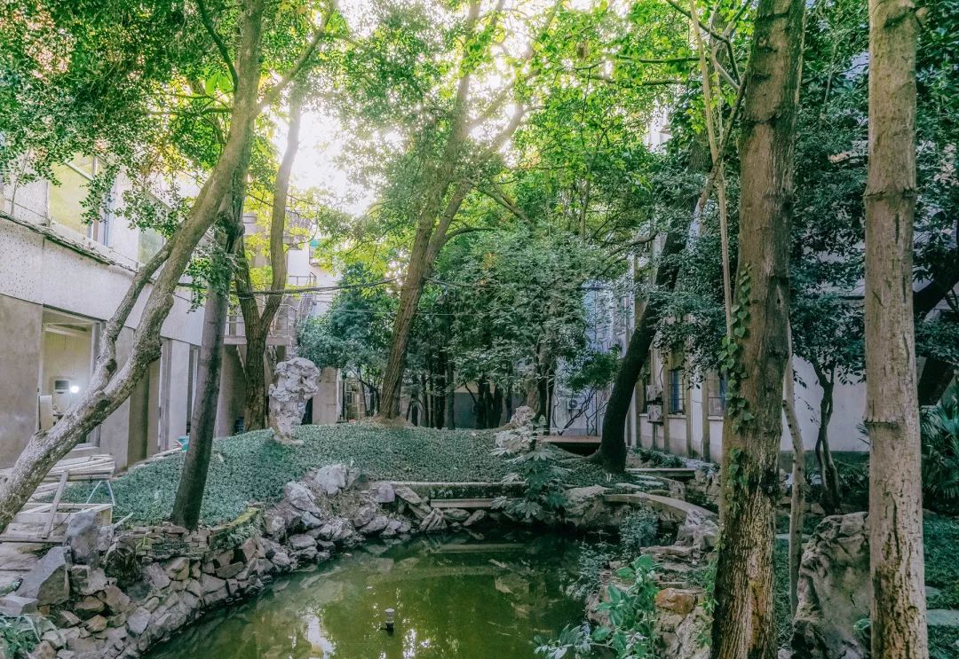 趣办空间|临窗观草木,*情纵**山水间:趣办@长乐路