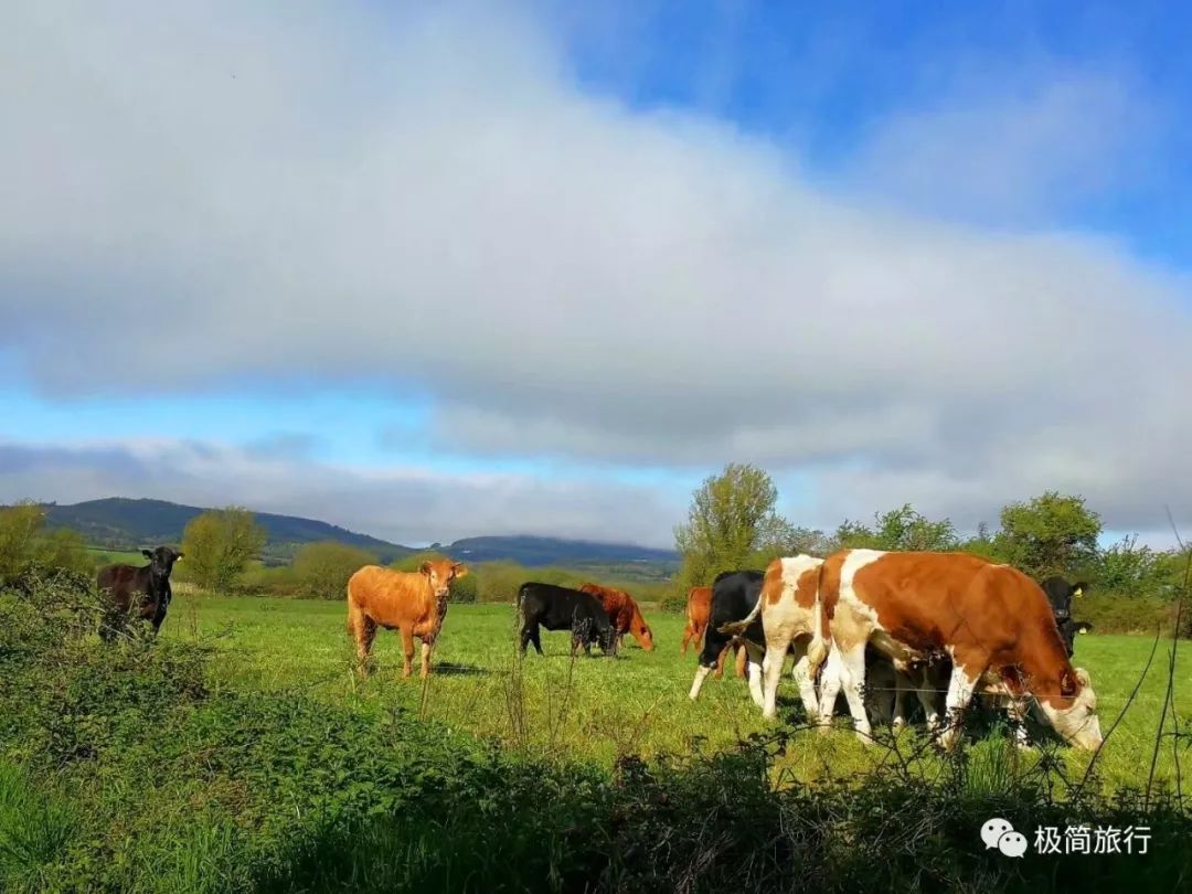 在爱尔兰，我们开启不一样的生活