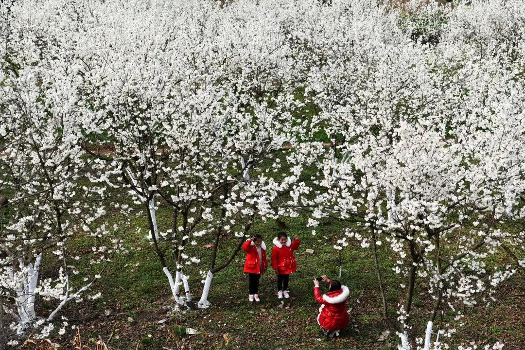 脱贫攻坚贡献彪炳史册,脱贫攻坚彪炳史册的伟大壮举