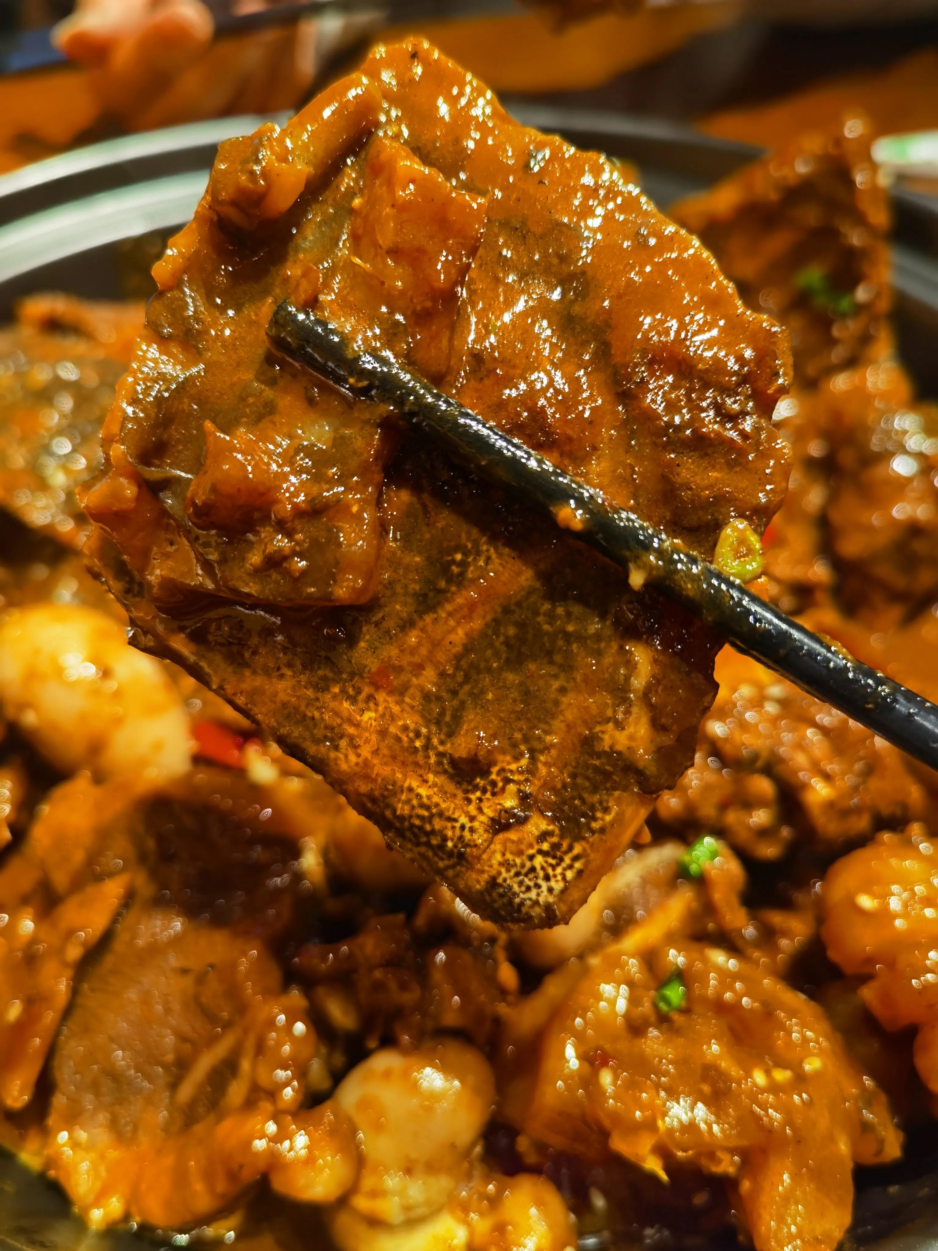 春夜2男2女在郑州金元甲甲鱼馆,吃老鳖焖牛鞭,才花500多文