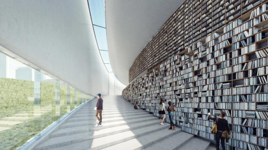 新区新建公园规划,主城区公园