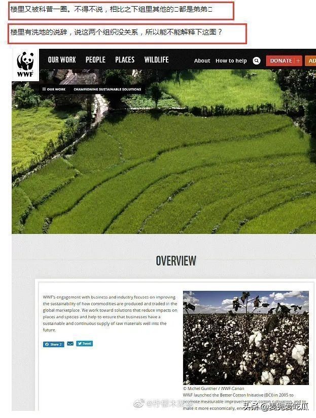 朱一龙品牌大使被曝辱华？曾*制抵**过*疆新**棉，其大粉也拉踩过肖战