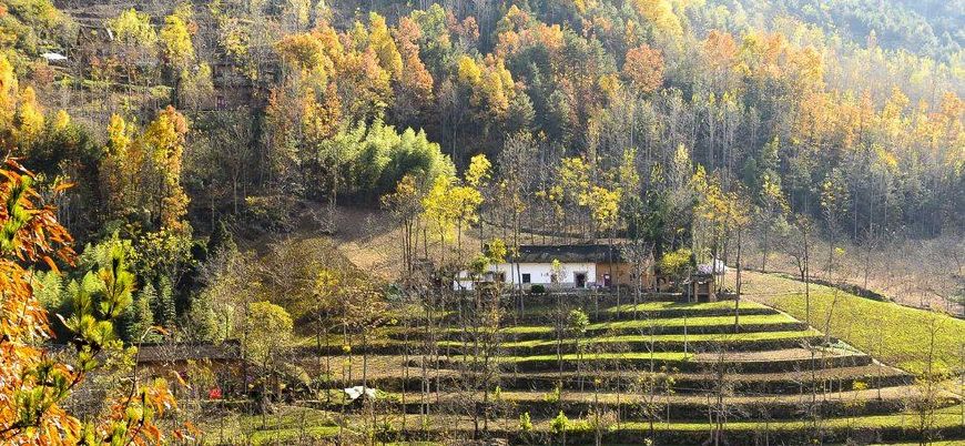 4首辛弃疾的田园风光词，带你远离尘嚣，享受人与自然和谐的美好