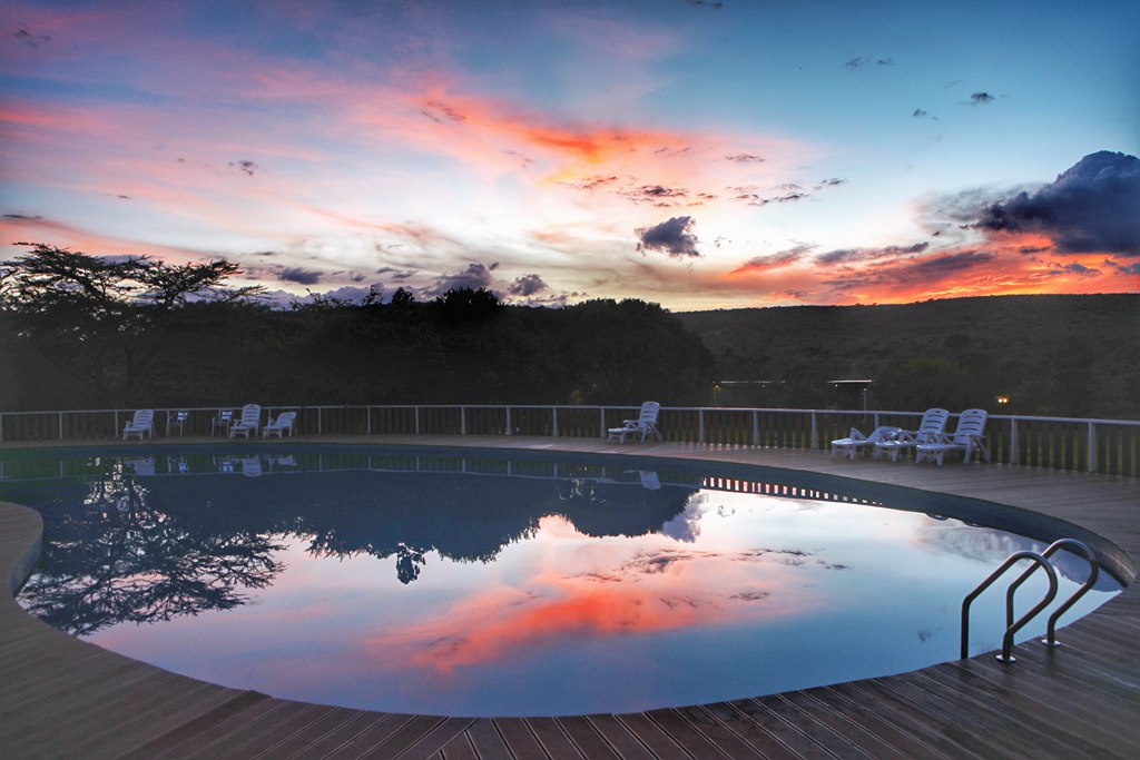 一个中国人在肯尼亚草原旅游创业：老外惊见中国速度，当地人感激