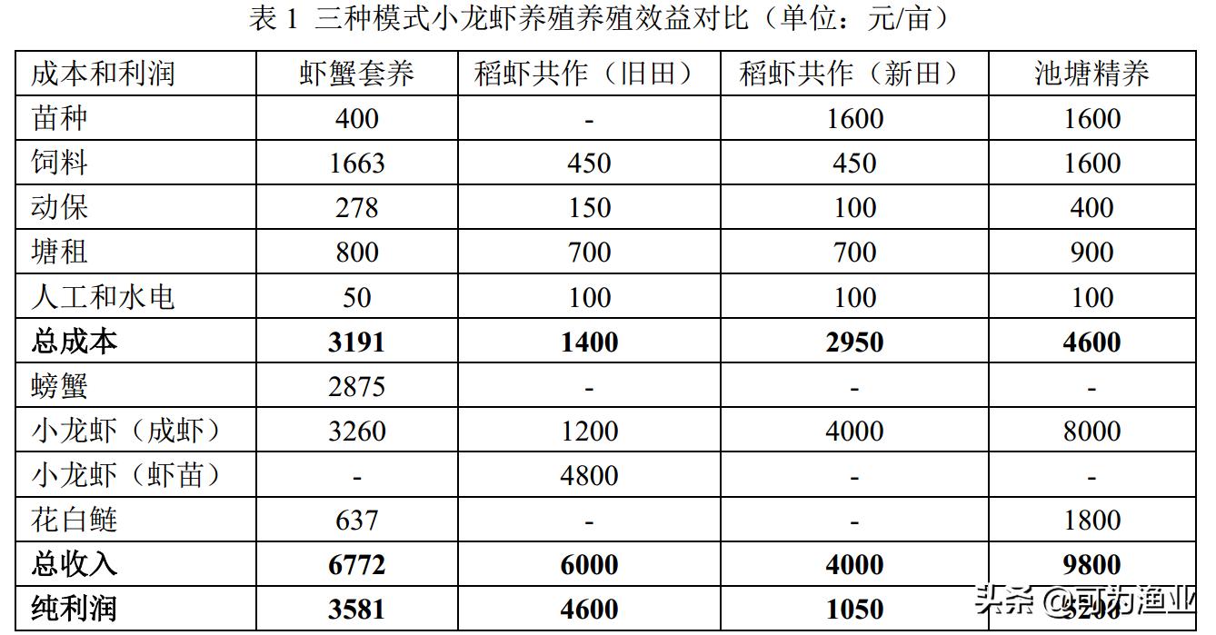 小龙虾无草无料养殖模式,潜江小龙虾养殖模式
