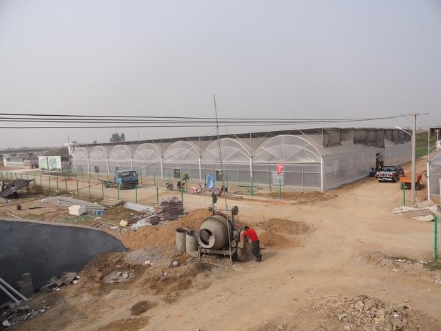 连栋温室玻璃大棚一亩地多少钱,3000平连栋温室大棚价格