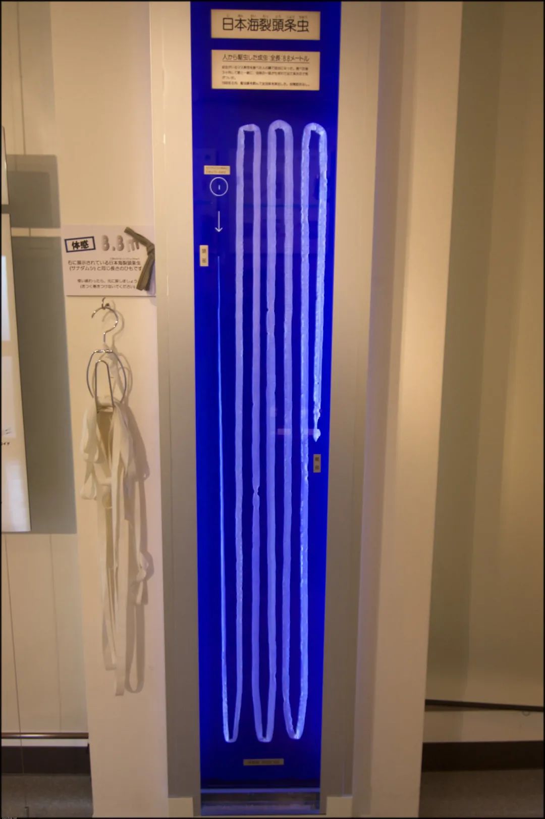 肛拭子有危害吗,肛拭子的好处