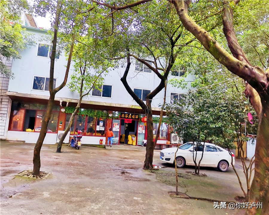 泸州最美农家乐,泸州特色农家乐