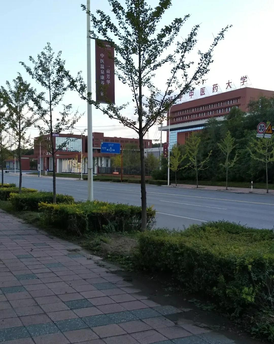 本溪太子河新城与沈本新城未来如何发展呢？谈下个人见解