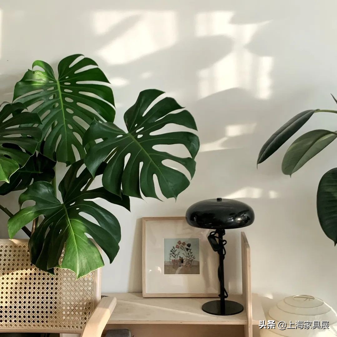 房屋设计师改造房间,家居设计师改造屋