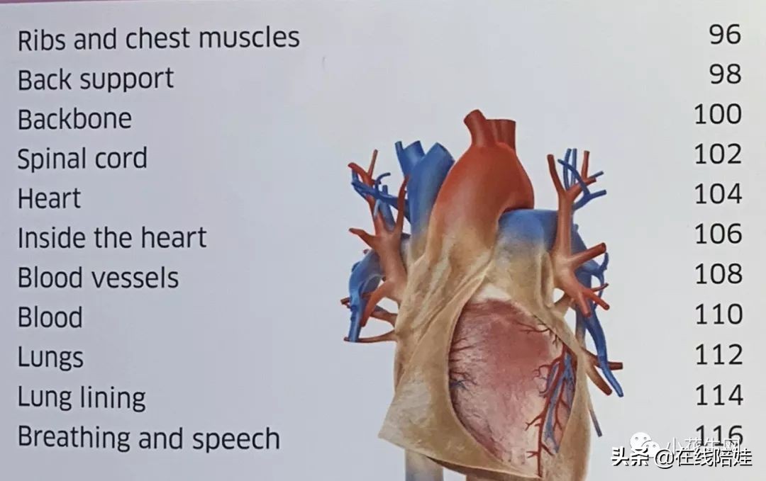 dk知识大百科全套,dk知识大百科书金银版