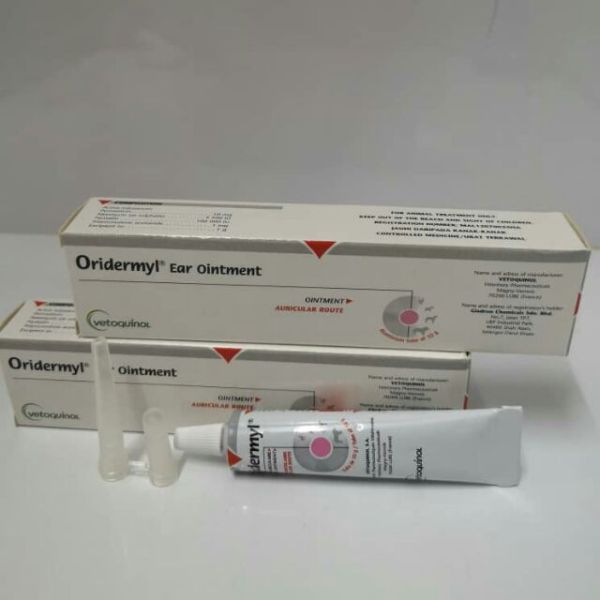 猫耳螨是什么？如何治疗？用什么药？