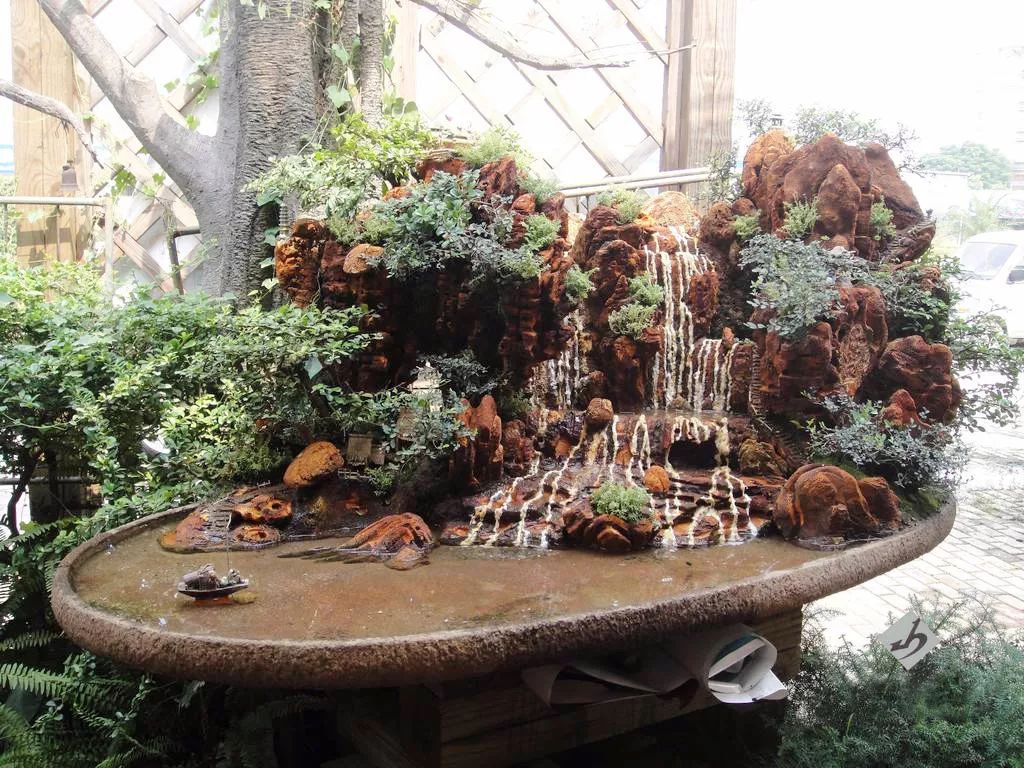 精品水旱树石盆景,什么是全旱式树石盆景