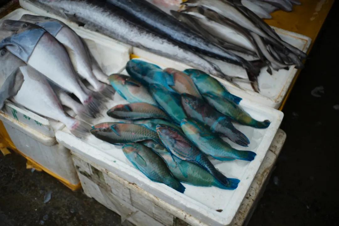 在海南岛最霸气的渔港码头,海南十大渔港码头