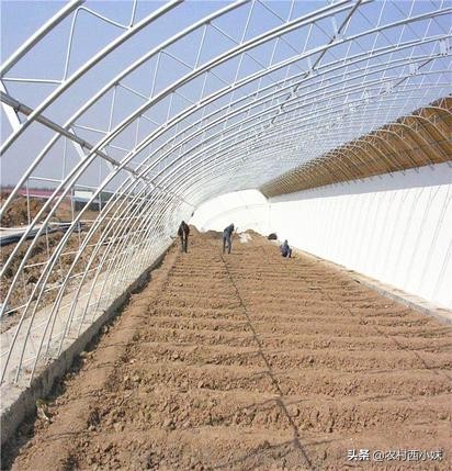 温室大棚种植规模化，四种大棚的优缺点，你应该知道