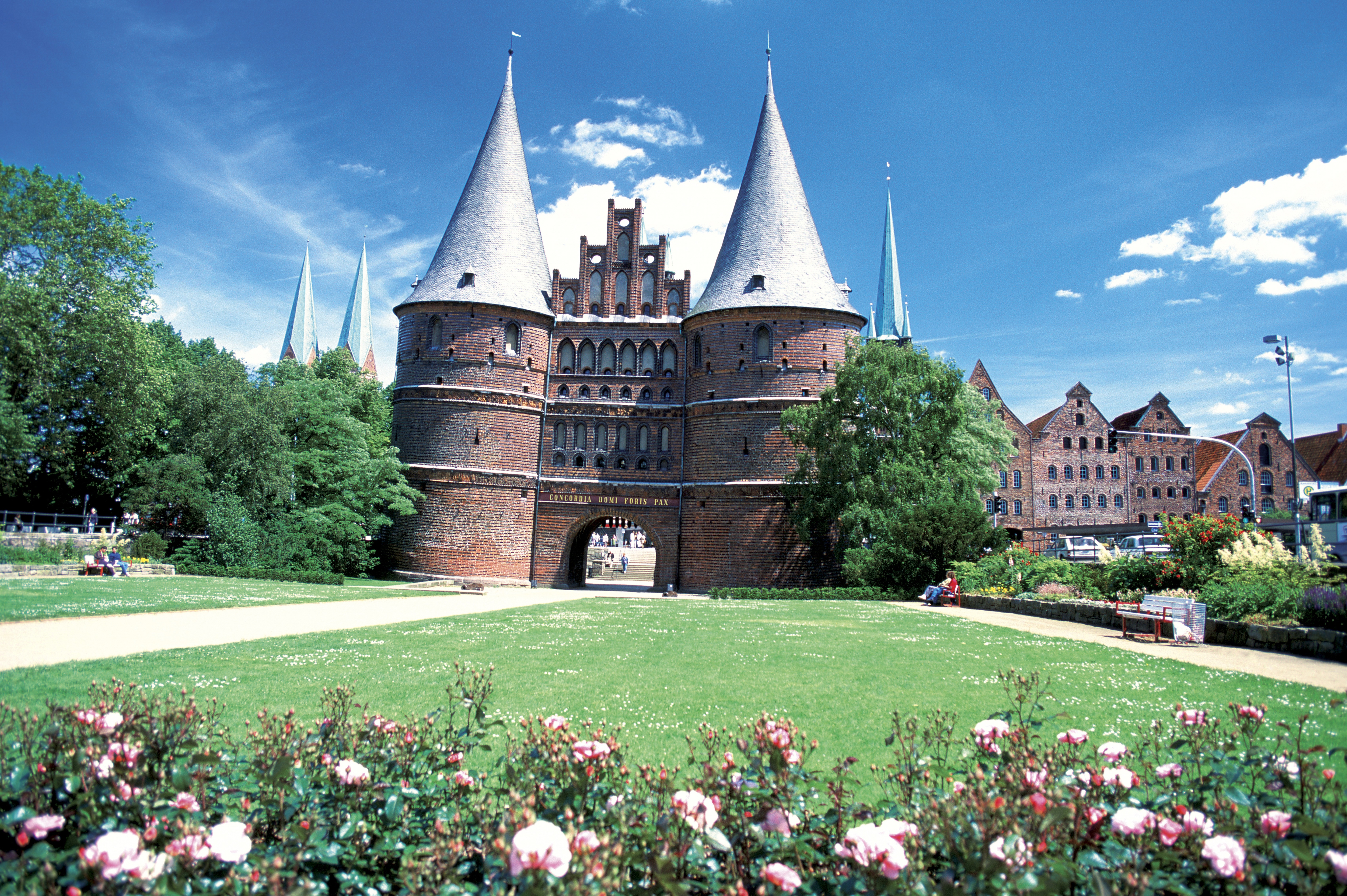 德国乡村风味的花园,德国花园里的植物