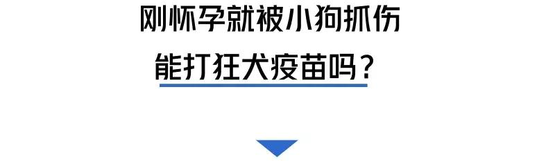 被猫狗咬伤如何正确处理,被猫狗咬伤十天了还能打针吗