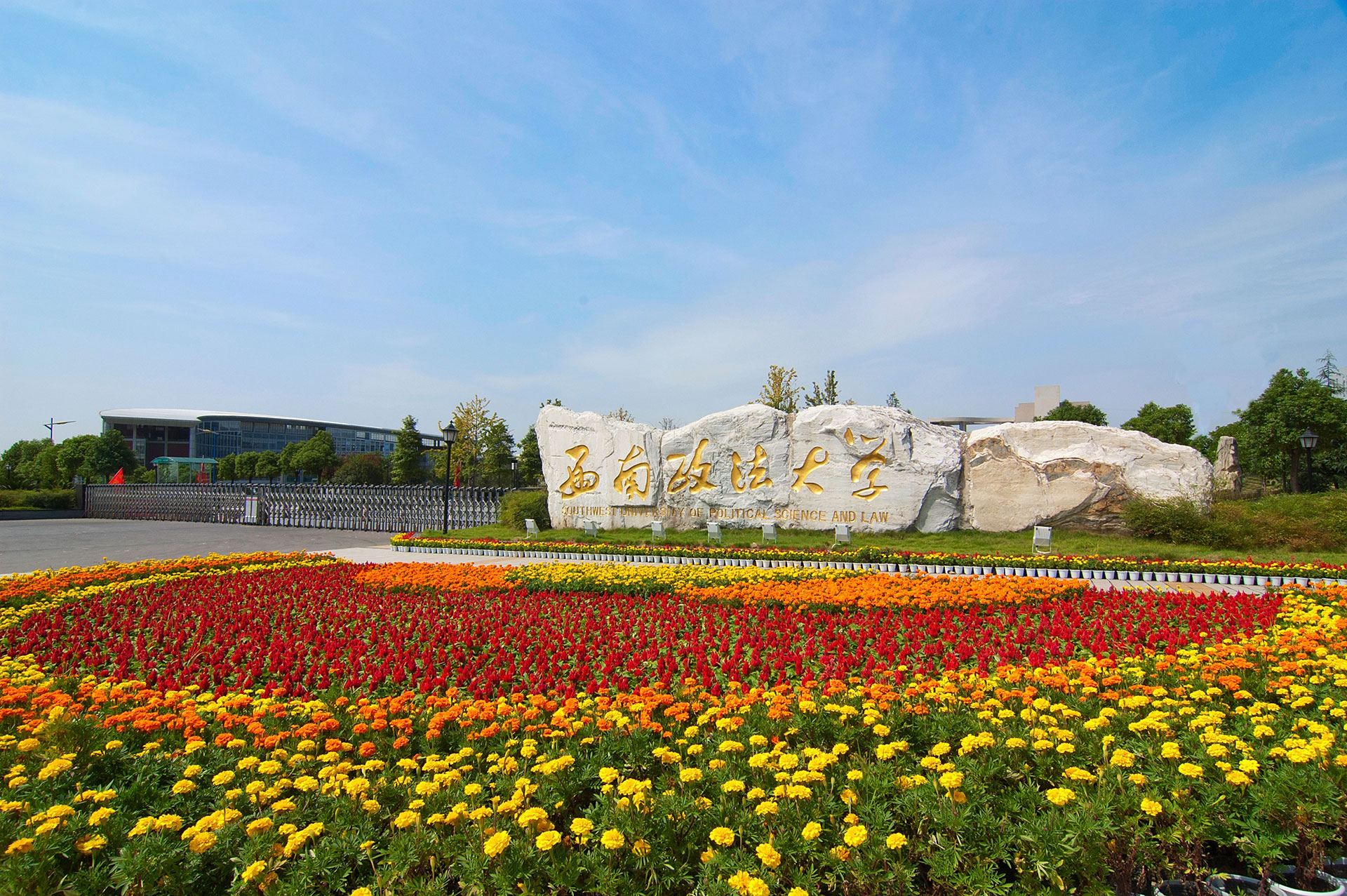 法学学科最新排名，五院四系分化严重，吉大、西北政法未进前十