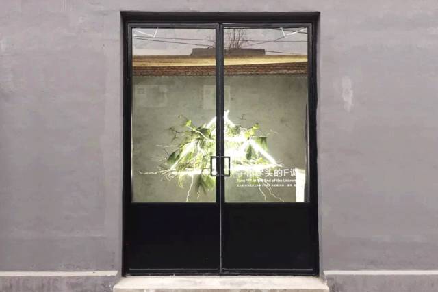 杨澜专访张艾嘉,杨澜采访张艾嘉