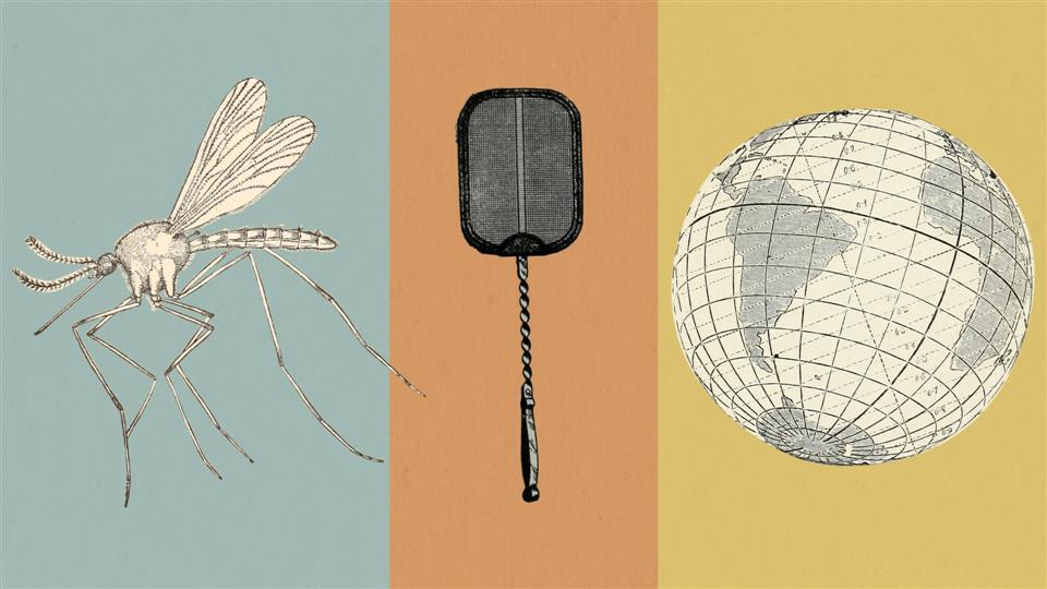 基因蚊,基因武器消灭蚊子