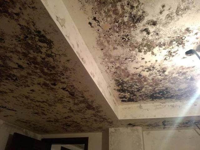 如何解决地下室发霉问题,地下室发霉条件