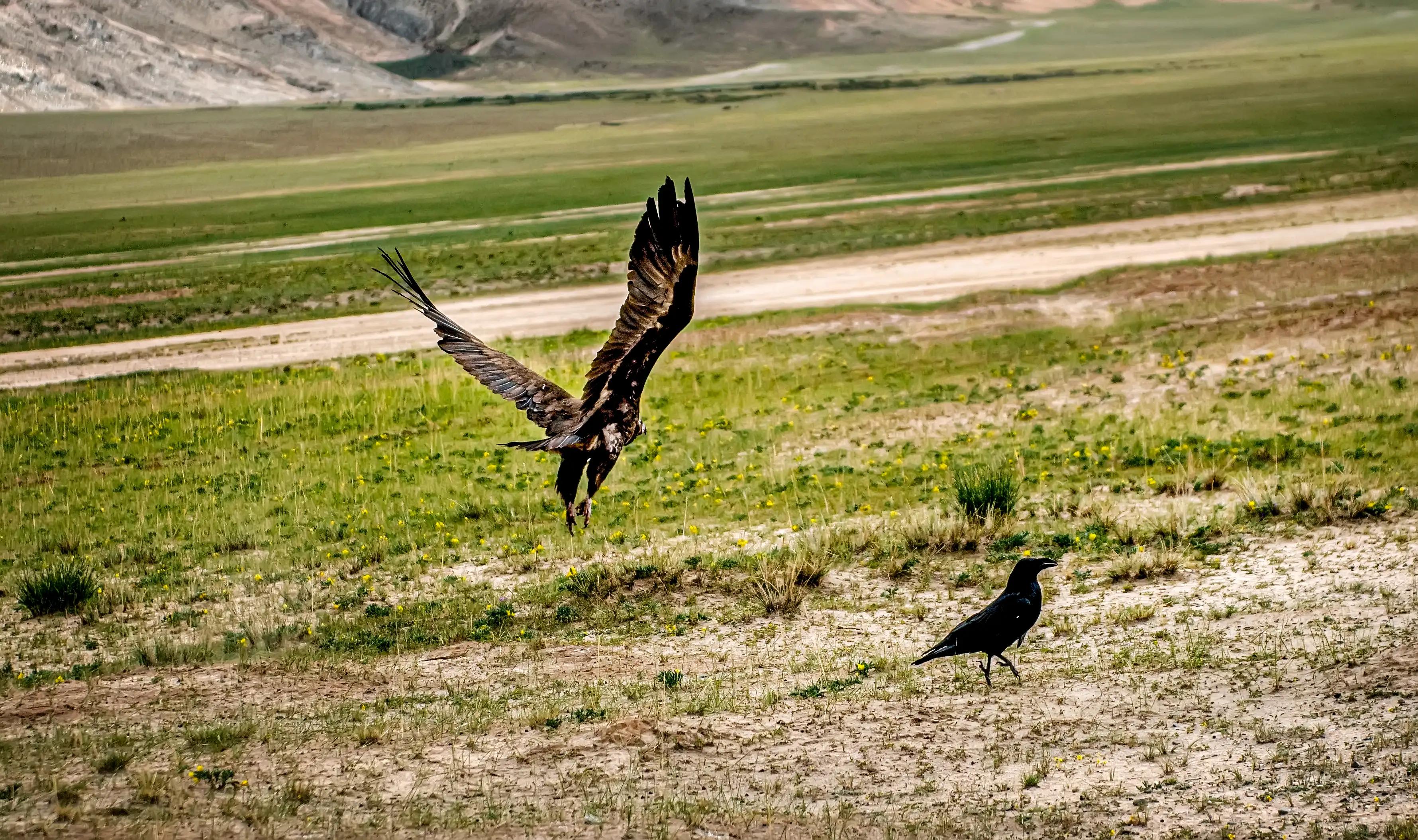 川西甘南十五日环线自驾游,甘南川西环游系列之四